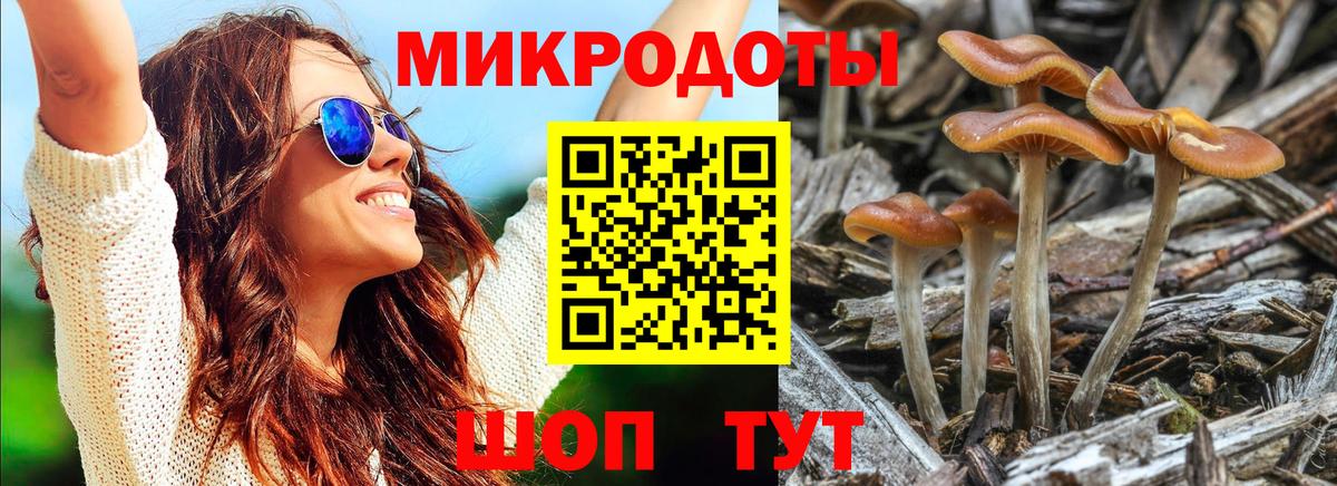 Псилоцибиновые грибы ЛСД  Вход с VPN  Псилоцибиновые грибы GOLDEN TEACHER  Корсаков 