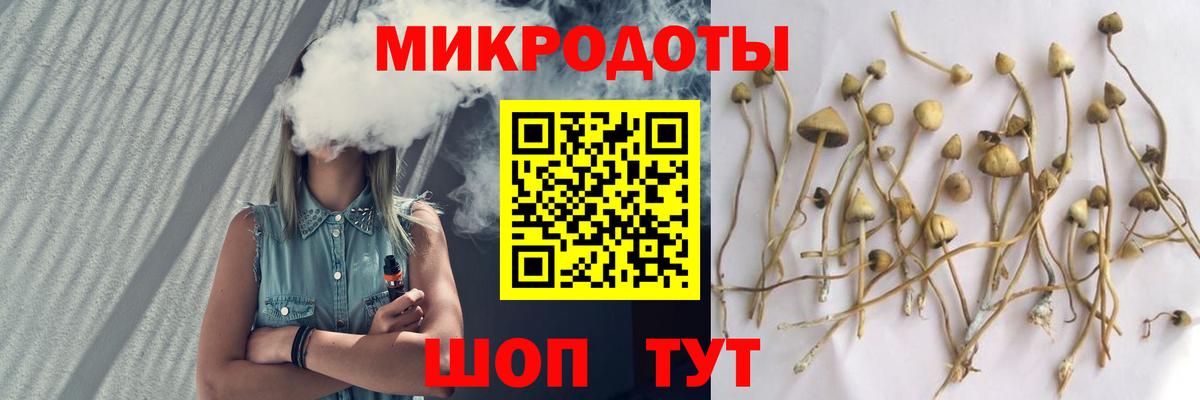 Псилоцибиновые грибы Psilocybe Корсаков